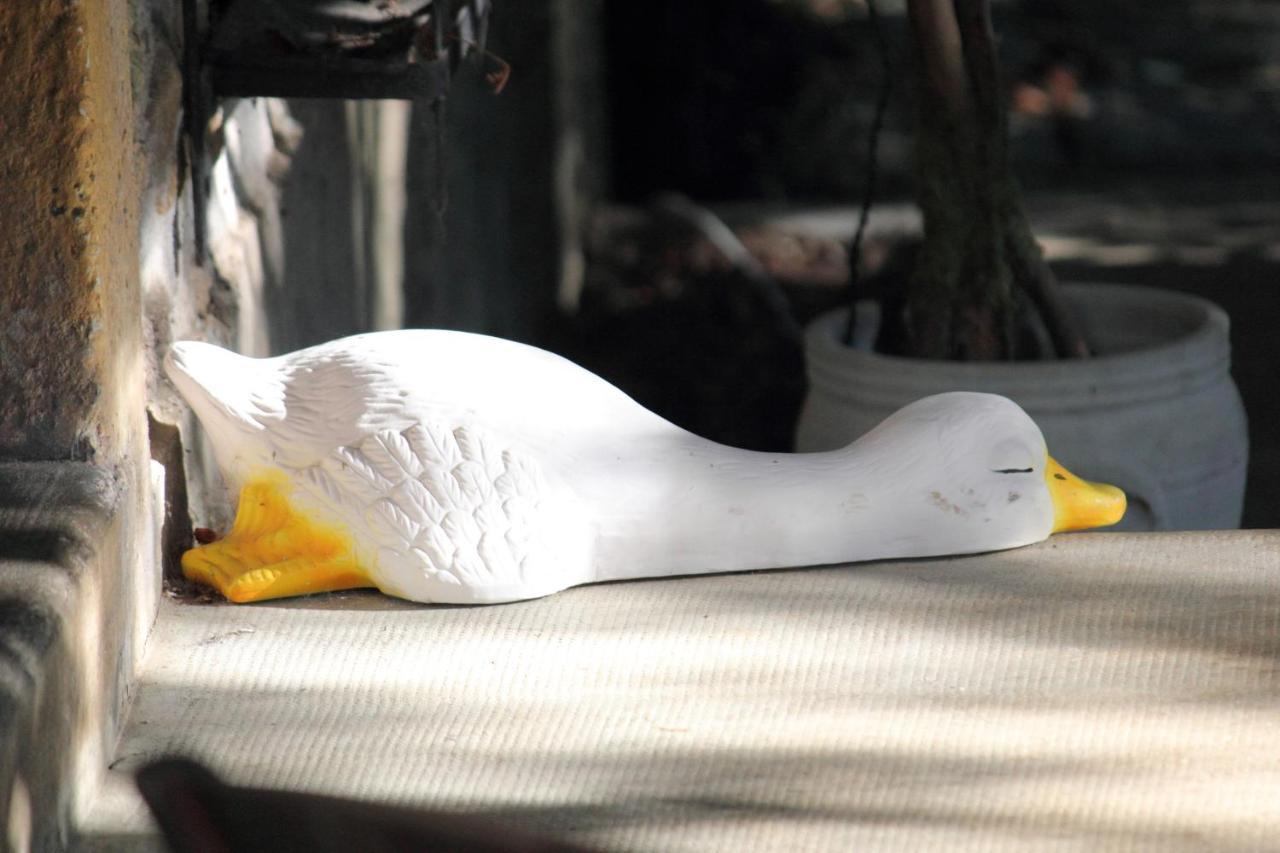 Le Jardin Sarlat Bed & Breakfast ภายนอก รูปภาพ